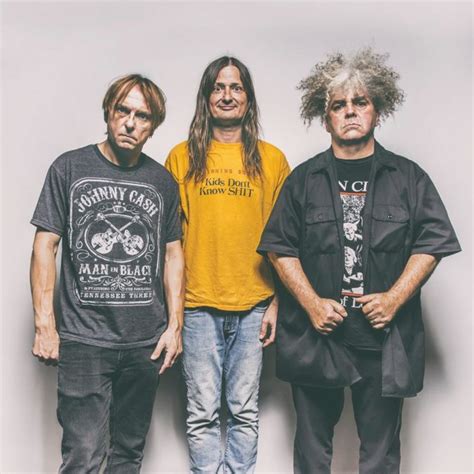 Melvins' Stoner Wutch Songs: From the Underground to Mainstream Success